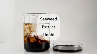 Humico Seaweed Extract Liquid Fertilizer  Unlock the Power of Nature 🌊 100 Water Solubility [upl. by Natal]