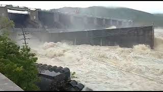 Nellore  Somasila Dam Water  damwater rain [upl. by Aiuqet341]