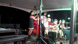 The Hokum High Rollers Performance at the 10th Annual National Jug Band Jubilee [upl. by Clarinda]