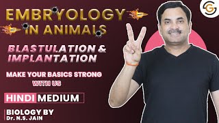 Blastulation amp Implantation Embryology in Animals  Hindi Medium neet [upl. by Fates]