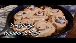 Quick Sourdough Cinnamon Rolls  No Rise Time [upl. by Aseeram]