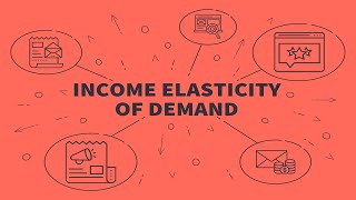 Income Elasticity [upl. by Perkins]