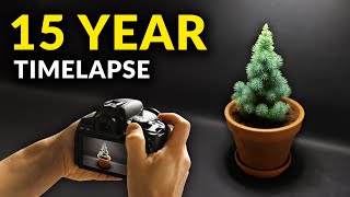 I Filmed Plants For 15 years  Timelapse Compilation [upl. by Lunseth]