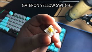 Gateron Yellow Lubed with Tribosys 3203 Krytox™ GPL 203 G0 Equivalent  Tecware Phantom Elite ASMR [upl. by Bergin619]