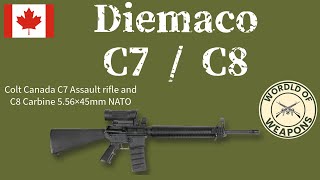 Diemaco C7  C8 🇨🇦 The canadian improvement of a classic [upl. by Cairistiona]