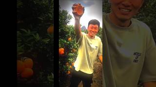 The Delicious Fruit Found in China 🍍🍏🍓🍅Shorts edit fruit trollface [upl. by Dnalram294]