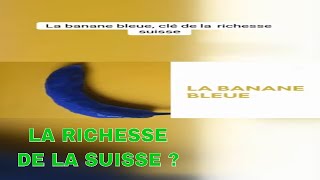 Légendaire Banane Bleue clé de la richesse suisse [upl. by Yarb]