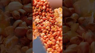 what if i made kadalai mittai commercial  valarmathiphotography food peanut [upl. by Eissed]