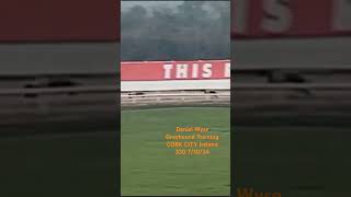 Daniel Wyse Greyhound Training CORK CITY Ireland 330 71024 [upl. by Geffner]