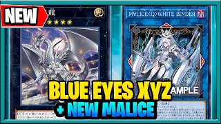 NEW BLUE EYES XYZ 2024  NEW MALICE Link  New YuGiOh Cards 2024 [upl. by Lyndsey]