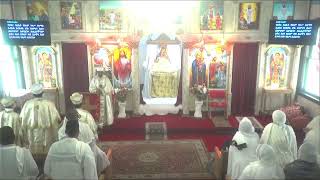 Medhanie Alem Ethiopian Orthodox Tewahedo Church KC Live Stream [upl. by Neeruan]