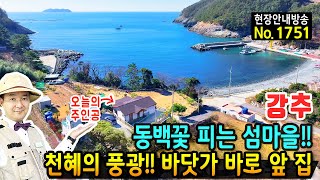 강추 동백꽃이 피는 섬마을 바닷가 전원주택 매매 천혜의 풍광과 파도소리 가득 221평의 전과 다양한 과실수 넋놓고 바라 보는 바다 바로 앞집 통영부동산  발품부동산TV [upl. by Irisa]