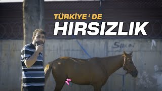 TÜRKİYEDE HIRSIZLIK [upl. by Nathanil]