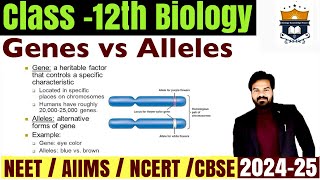 Gene vs Allele difference  Difference between Genes and Allele class 12 Biology  NEET [upl. by Anirak]