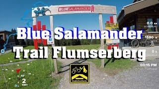 Blue Salamander Flumserberg  Full Trail inkl Bikedusche  27K  Bikerberg Flumserberg [upl. by Margalit]