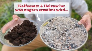 Vorteile amp oft verschwiegene Gefahren von Kaffeesatz und Holzasche im Garten [upl. by Capp]