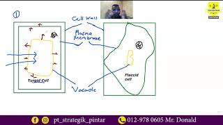 32 8 Plant cell immersed in hypotonic solution  turgid  in under two minutes [upl. by Ominoreg97]