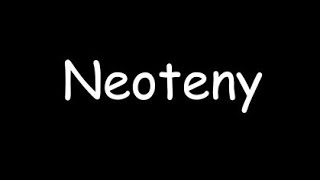 Neoteny । Neoteny in amphibia । hindi notes । zoology Msc Bsc [upl. by Sadonia937]