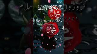 Meetha meetha mere Muhammad ka Naam Islamic Short [upl. by Elleinet]