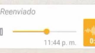 Audio de grupos de whatsApp [upl. by Haldis]