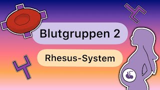 Blutgruppen TEIL 2 Das RHESUSSYSTEM [upl. by Ahsielat]