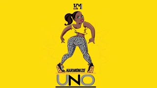 New song Harmonizer ft Davido  uno official music video [upl. by Cosimo]