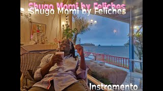 Shuga Mami by Feliches Lyrics Video [upl. by Maffei]