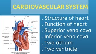 cardiovascular system in hindi and Englishstructure of heartblood circulation Kiran maurya [upl. by Minabe316]