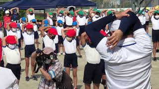 Sports Festival Grade 6 Warm up  UNDOKAI [upl. by Gabbey]