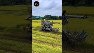 thailand harvester shorts harvester agriculture [upl. by Notak]