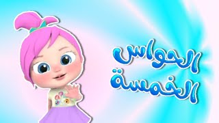 الحواس الخمسة  أغاني اطفال  قناة وناسة بو  Wanasa boo [upl. by Saberio985]