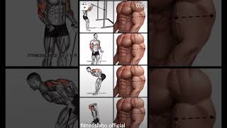 🥵Arms Workout ✅🏋️armsworkout workout gym fitness shoulderworkout shorts viralvideo trending [upl. by Gwenora409]