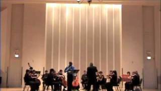 Mozart Flute Concerto no2 in D Major mvt 3 Allegro [upl. by Kovacs]