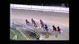 1982 Meadowlands Driscoll Pace Genghis Khan [upl. by Daahsar]