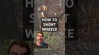 Do you know how to use the snort wheeze whitetail deer hunting bowhunting bowhunter [upl. by Llewsor268]