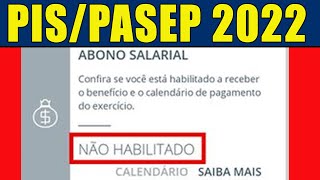 PISPASEP 2022 NÃO HABILITADO O QUE FAZER PARA RECEBER O ABONO SALARIAL 2022 COMO CONSULTAR O PIS [upl. by Ikceb]