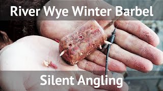 How to catch barbel clear cold river  Barbel fishing UK  River Wye  hints tips tricks [upl. by Atiekahs830]