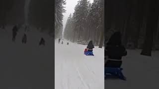 Rodelbahn an der Wurmbergseilbahn Braunlage im Harz [upl. by Remmus]