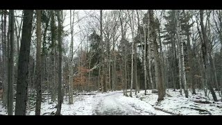 Winters Embrace Exploring a Serene Trail in Fredericton at 18°C  Snow Wind and Natural Beauty [upl. by Odanref]