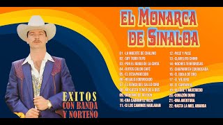 El Monarca De Sinaloa Mix [upl. by Aerdnaeel]