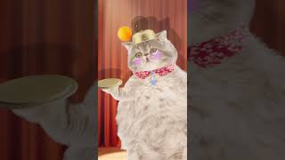 I did it 2  ping pong ball song funny pets funny cat animation  healing  재미있는 고양이 애니메이션 힐링샵 [upl. by Gibbon]