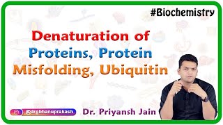 Denaturation Of Proteins Protein Misfolding Ubiquitin  Medical Biochemistry [upl. by Weber]