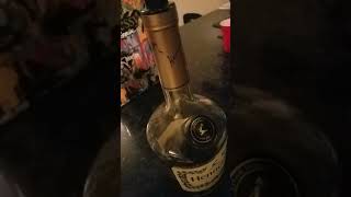 How many 750mlfifth of Hennessy can I fit in a 175L bottle12 gallon [upl. by Anstice]