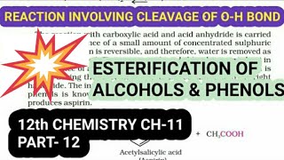 12th Chemistry Ch11Part12Esterification of Alcohol amp PhenolStudy with Farru [upl. by Acul]