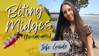 STOP and PREVENT Bites  Biting Midges Noseeums Info Guide [upl. by Sholes]