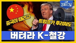 중국이 때리고 트럼프가 후려쳐도 버텨라 K철강 │2024년 11월 22일 경제시그널 [upl. by Ydnolem]