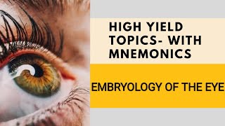 Embryology of the Eye  Easy to Understand  Embryology Mnemonics [upl. by Amelus]