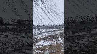 IBEX Herd Crossing Road and River at Skardu Pakistan [upl. by Atnuhs]