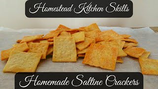 4 Ingredient Homemade Cracker Recipe  Homemade Saltine Crackers Recipe  Homestead Kitchen Skills [upl. by Stetson]