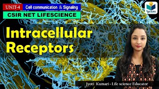 INTRACELLULAR RECEPTORS  LIGAND AND RECEPTORS PART2  TYPE OF RECEPTORS  CSIR NET  GATE [upl. by Korman]